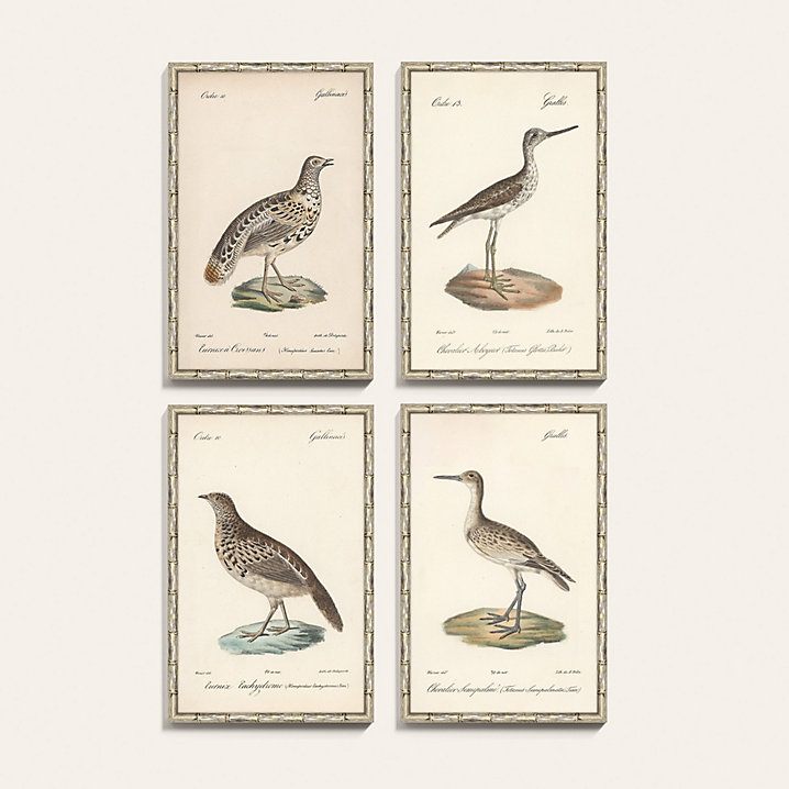 Feathered Flock Art