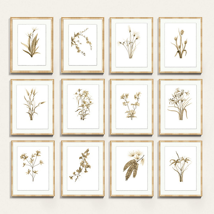 Fragile Blossoms Art